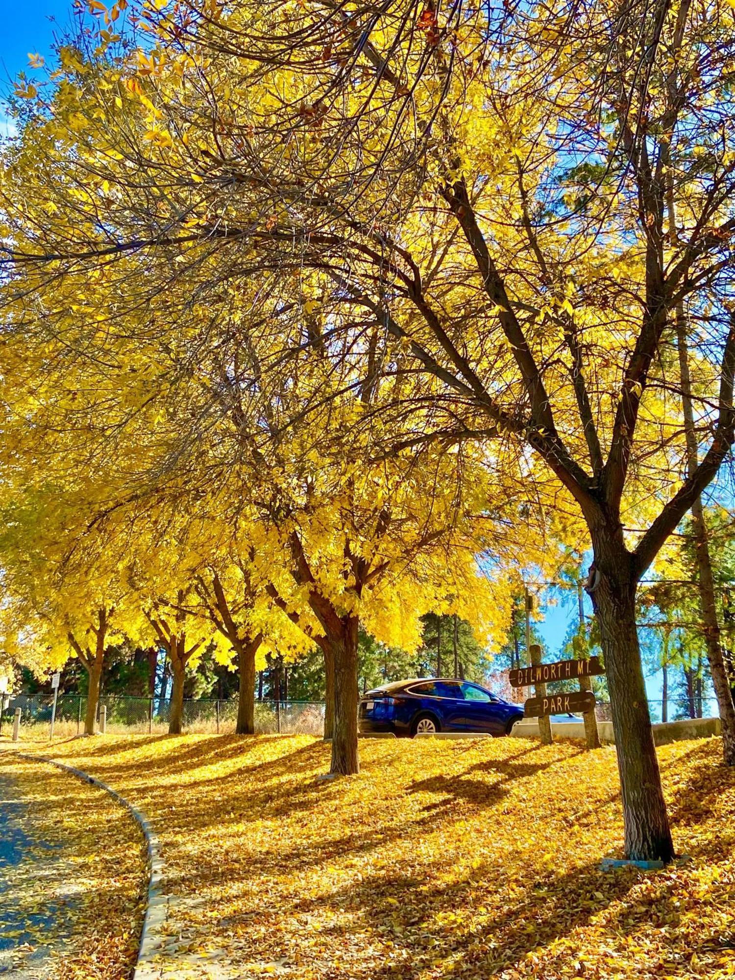 Kelowfornia Lakeview Retreat Kelowna Exteriör bild
